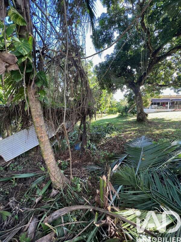 Photo 4 - Terrain à BAIE-MAHAULT