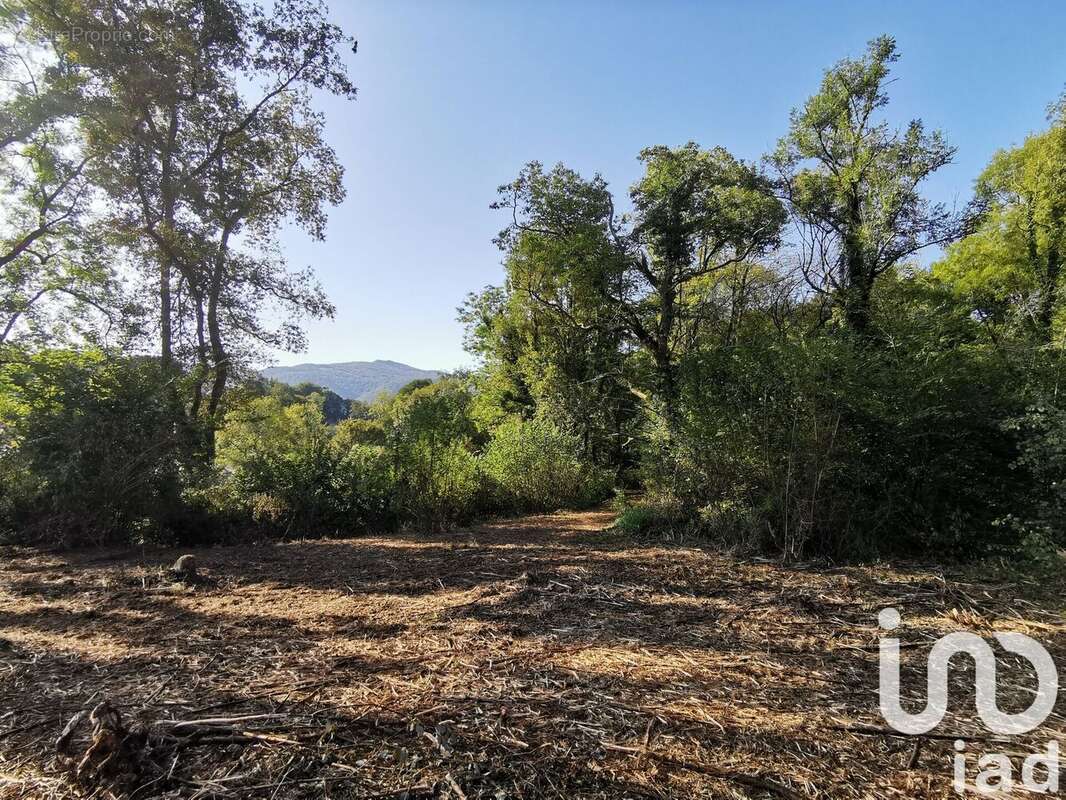 Photo 3 - Terrain à EYSUS