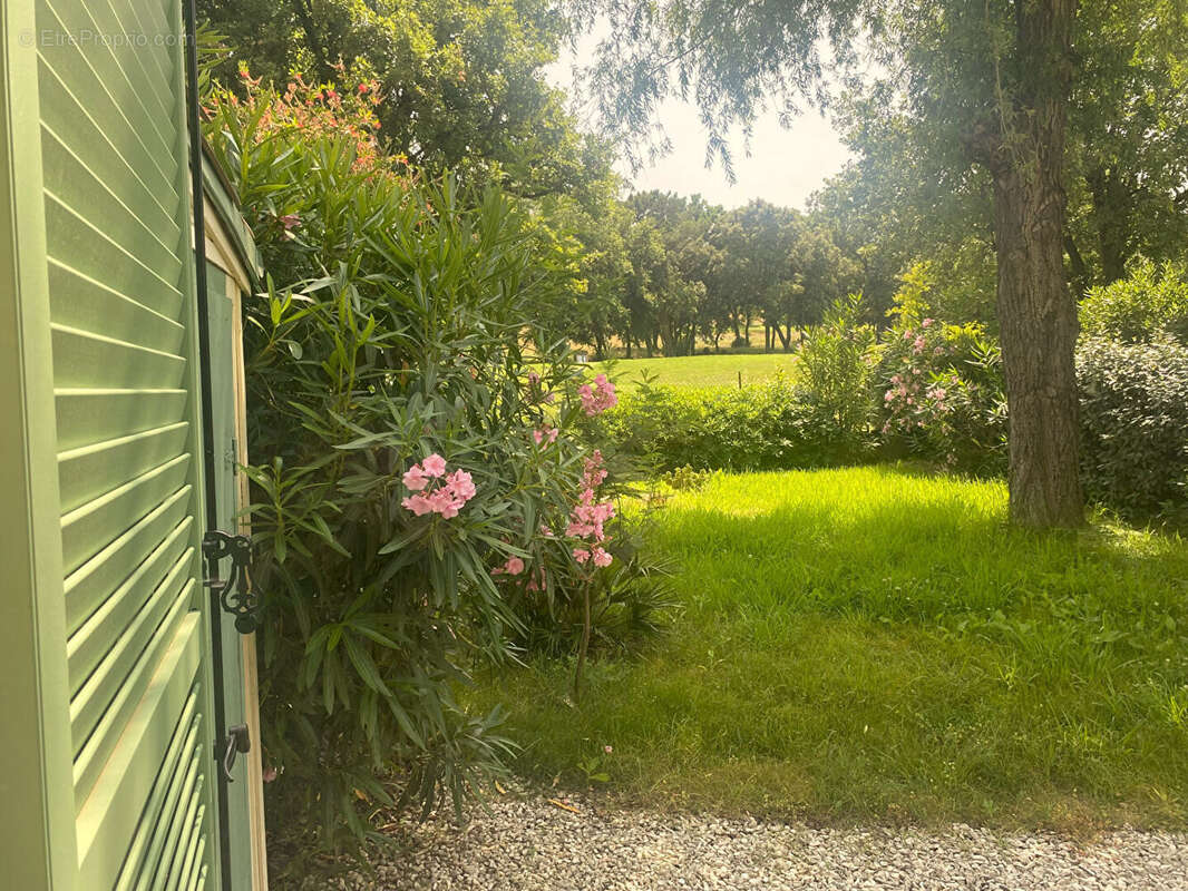 Maison à ROQUEBRUNE-SUR-ARGENS