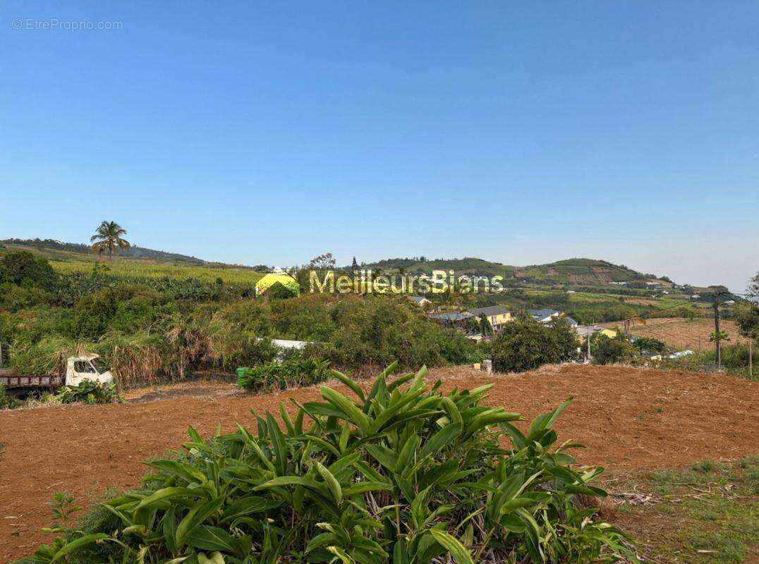 Maison à PETITE-ILE