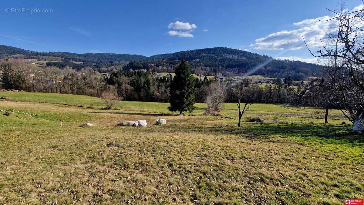 Terrain 1165 m² à Cleurie  - photo 4