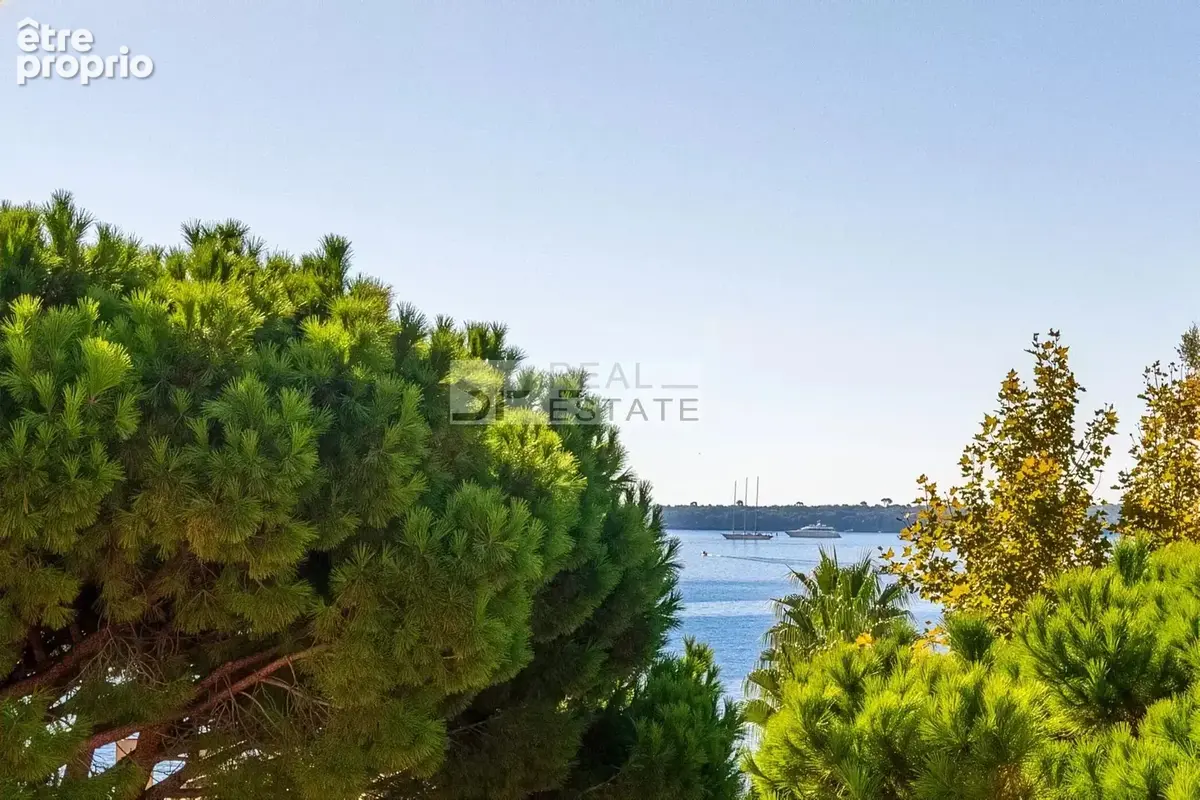 Cannes palm beach - vue mer -  grand 2 pieces - photo 5