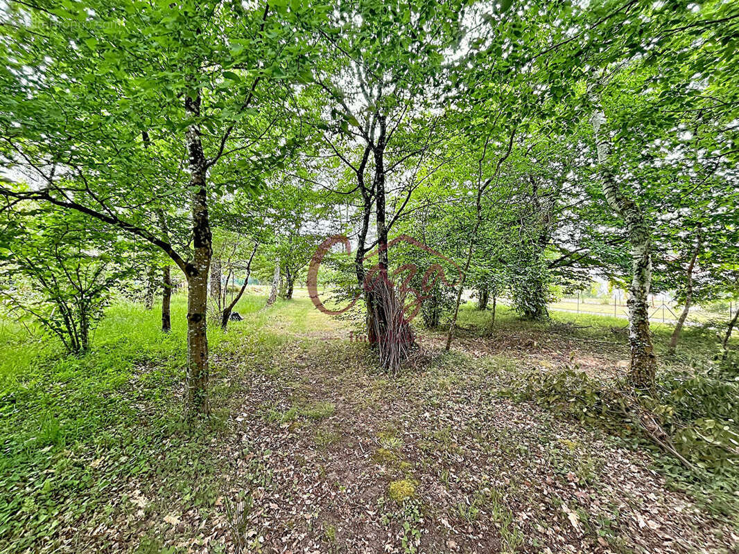 Terrain à SADIRAC