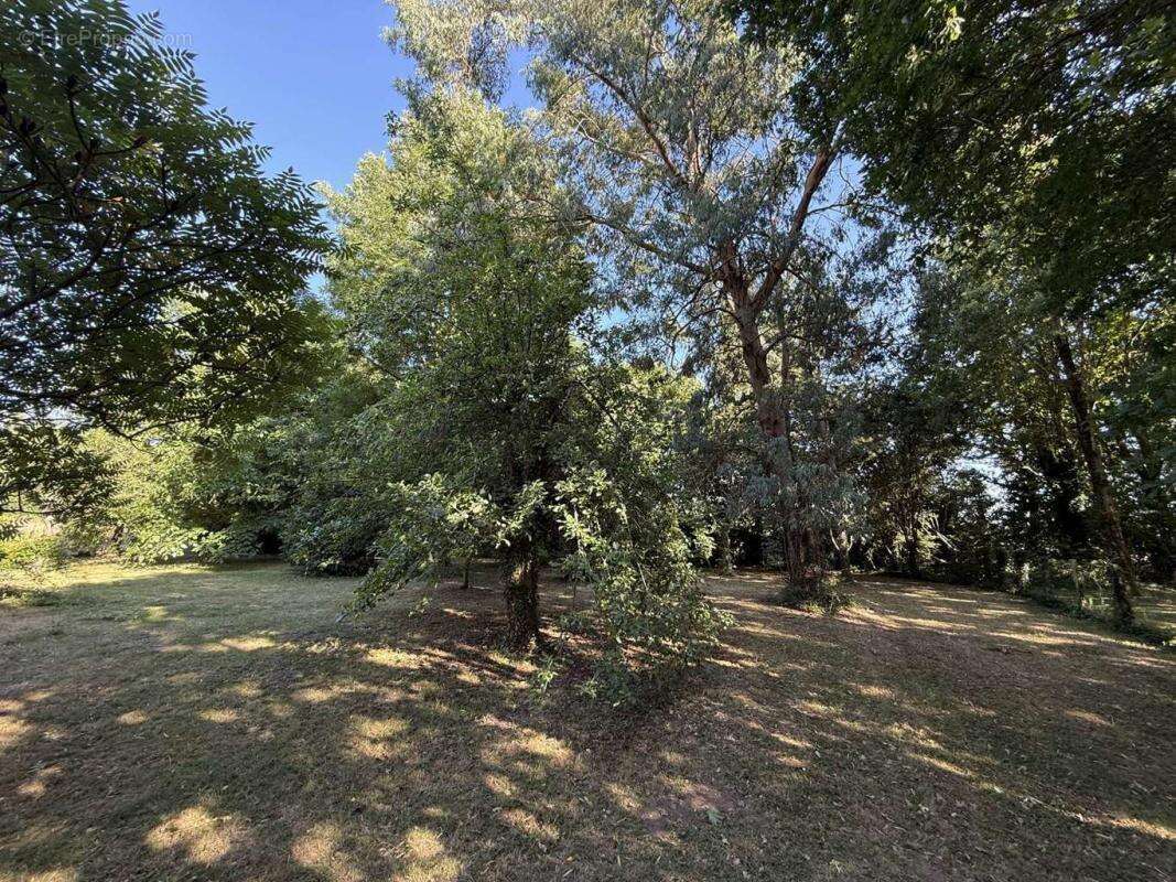 Maison à CONDE-SUR-HUISNE