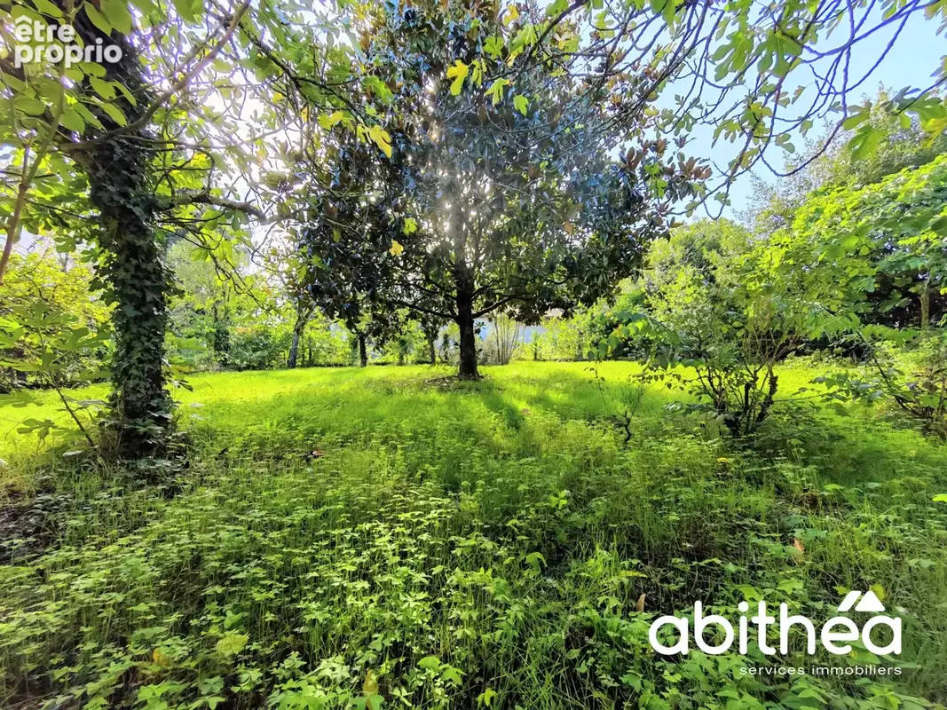 Libourne   l'épinette : une maison familiale aux beaux volumes, au cœur d'un écrin de verdure - photo 4