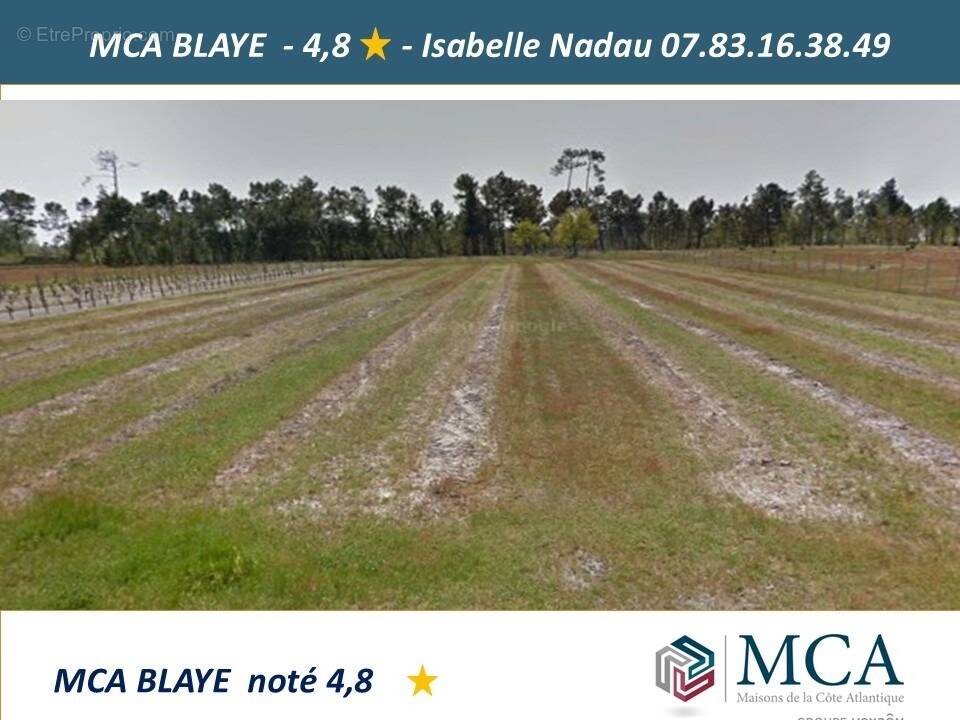 Terrain à SAINT-SAVIN