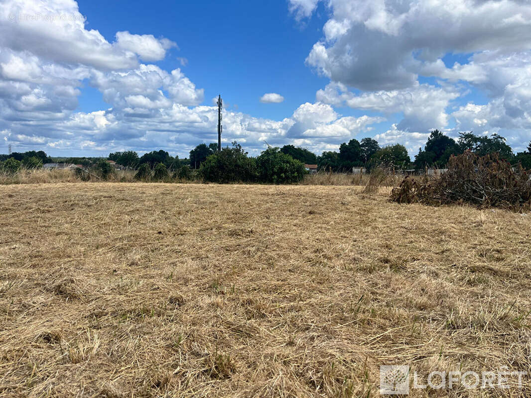 Terrain à PUGNAC