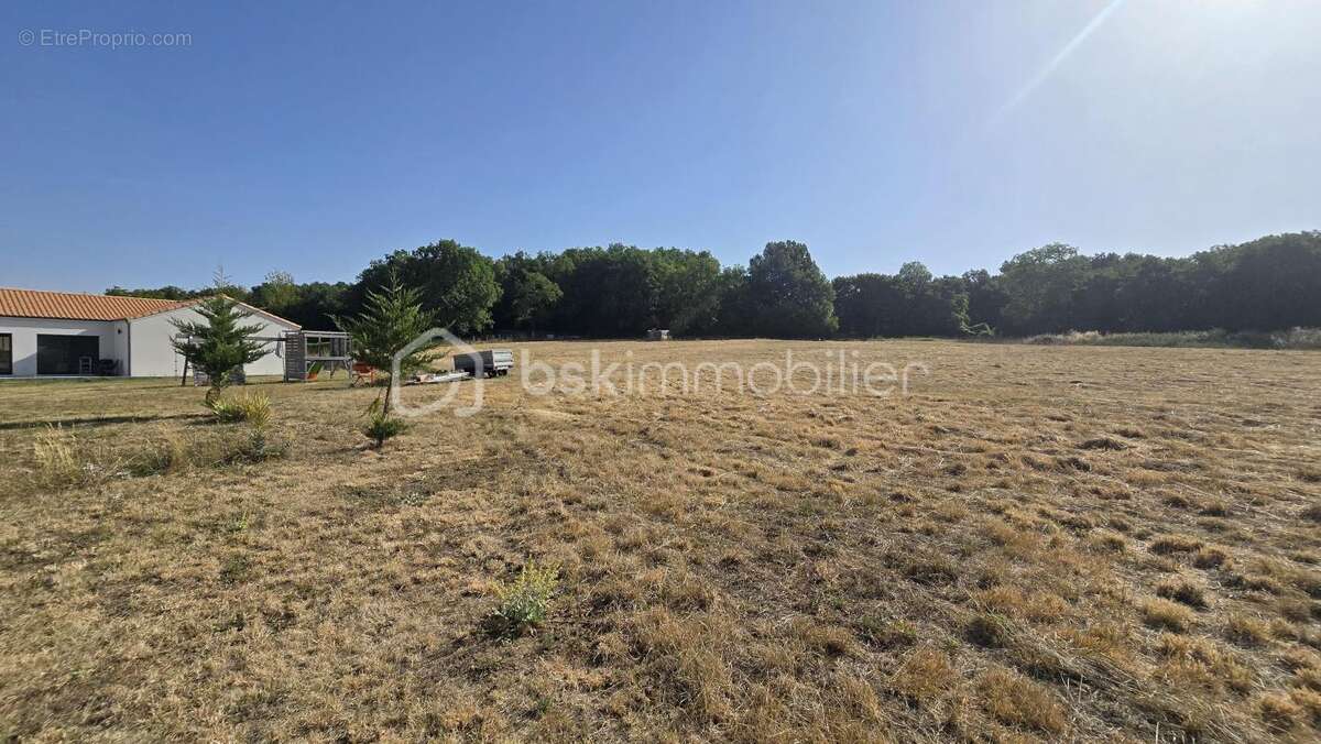 Maison spacieuse de 2019, lumineuse, quatre chambres, bureau, garage, grand terrain agricole - photo 24