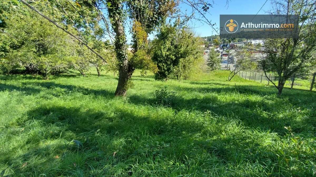 Terrain à LAROQUE-D&#039;OLMES