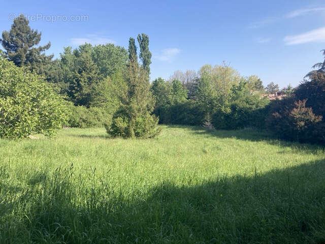 Terrain à SAINT-JEAN