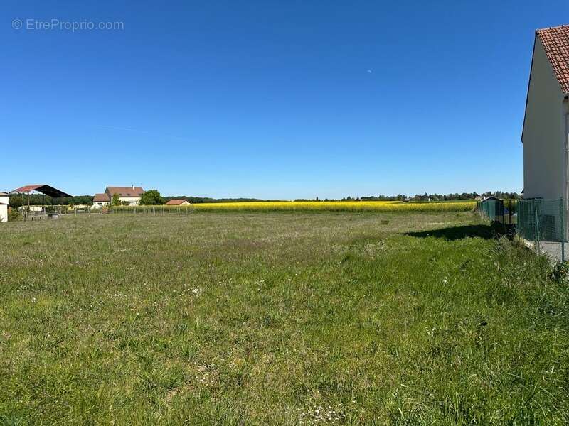 Terrain à POLIGNY