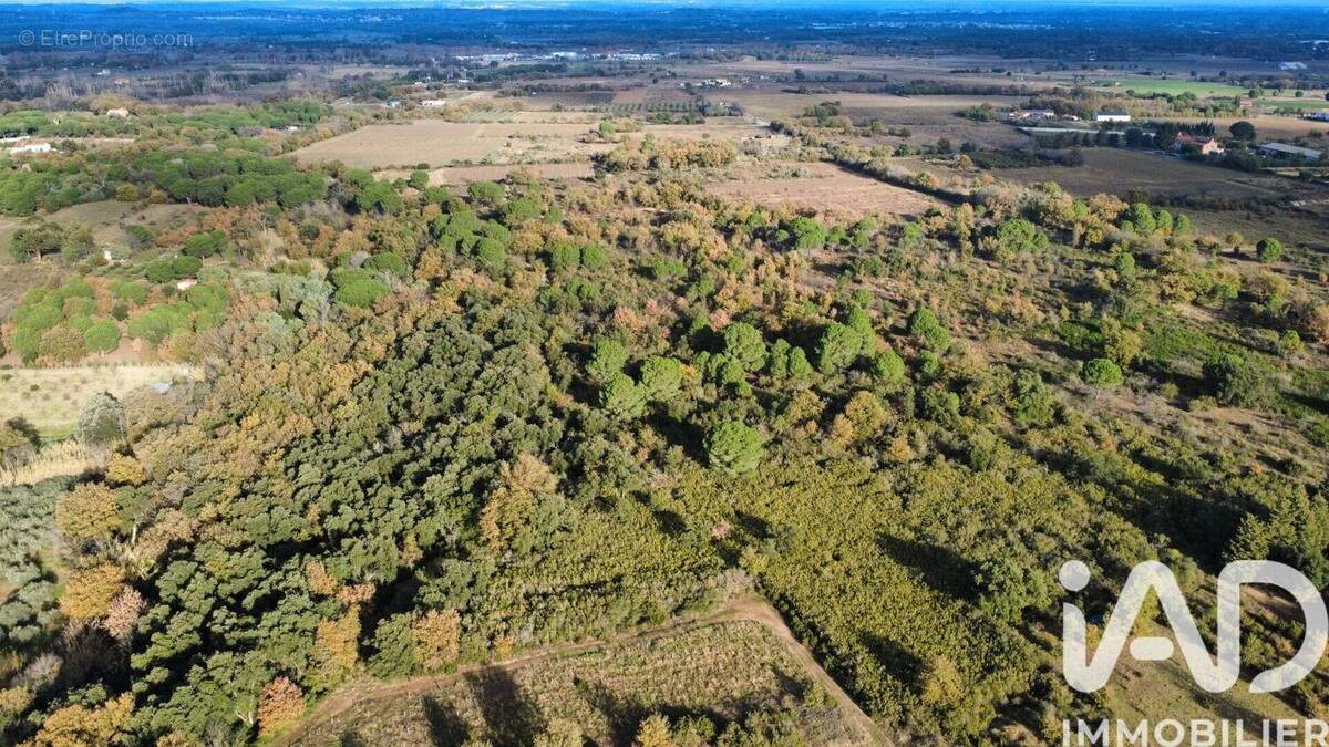 Photo 1 - Terrain à LAROQUE-DES-ALBERES
