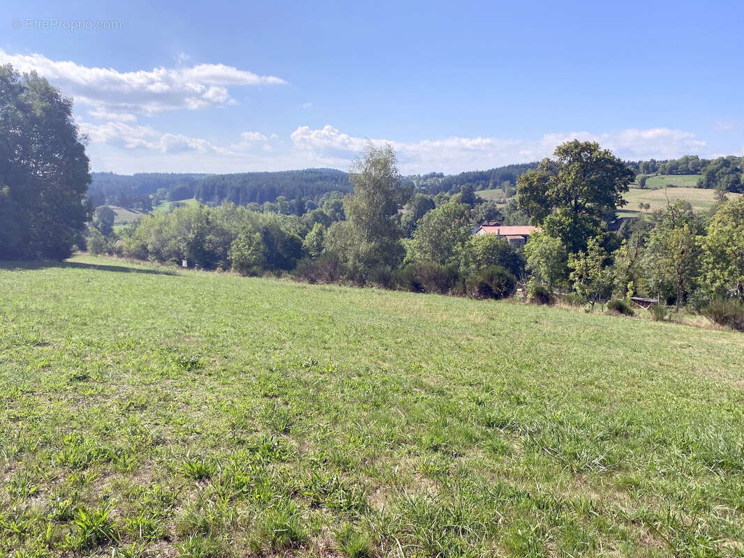 Terrain à CRAPONNE-SUR-ARZON