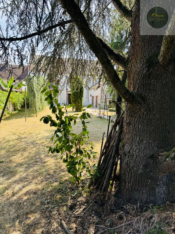 Maison bourgeoise au coeur d'egreville - photo 25