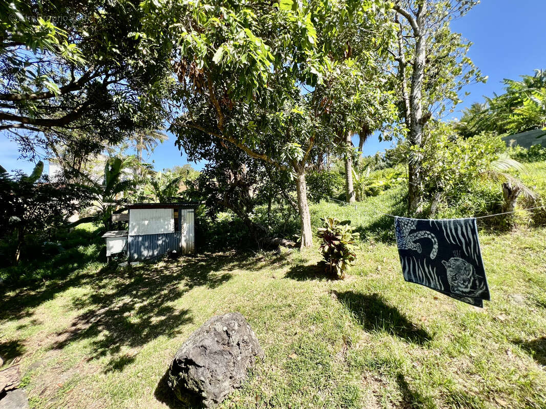 Maison à SAINT-JOSEPH
