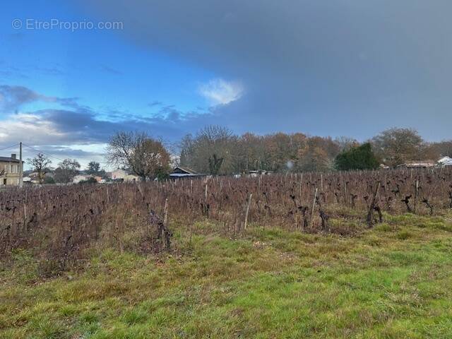 Terrain à CASTRES-GIRONDE