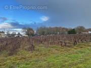 Terrain à CASTRES-GIRONDE