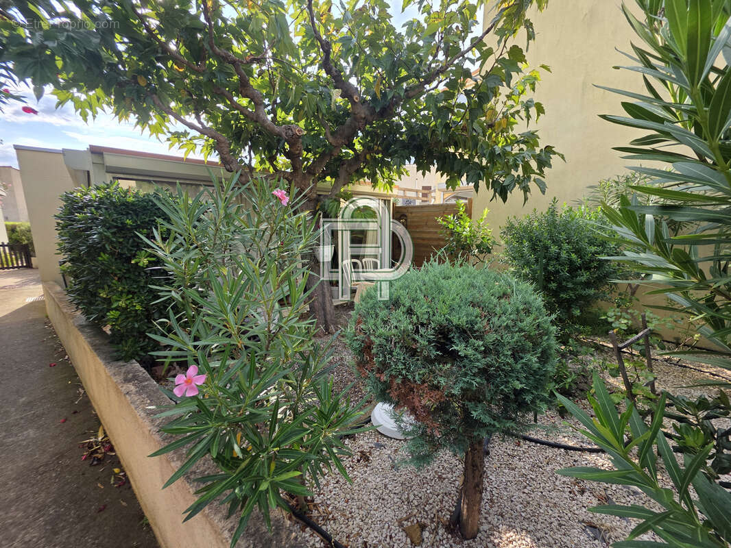 Maison plain pied T3, 52m2 + terrasse - Quartier pinède GRUISSAN - photo 9