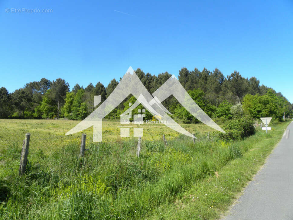 Terrain à SAINT-MARTIN-CURTON