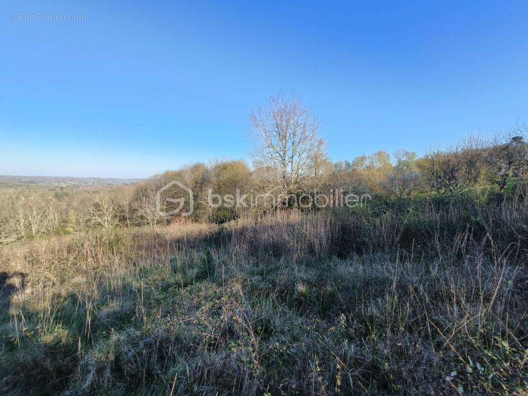 Terrain à LE BUISSON-DE-CADOUIN