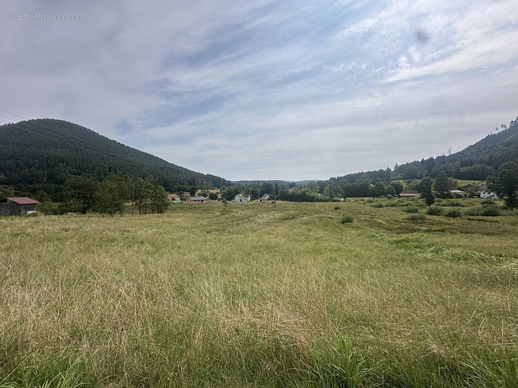 Terrain à TAINTRUX