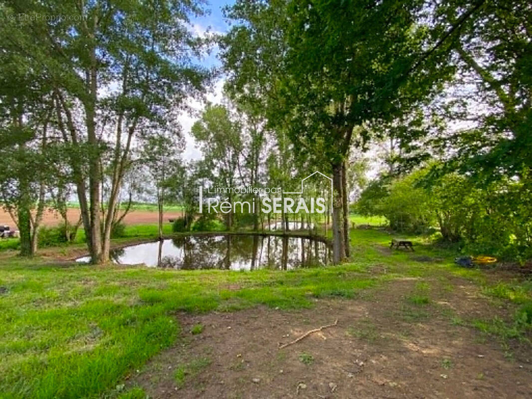 Terrain à SAINTE-HONORINE-LA-CHARDONNE