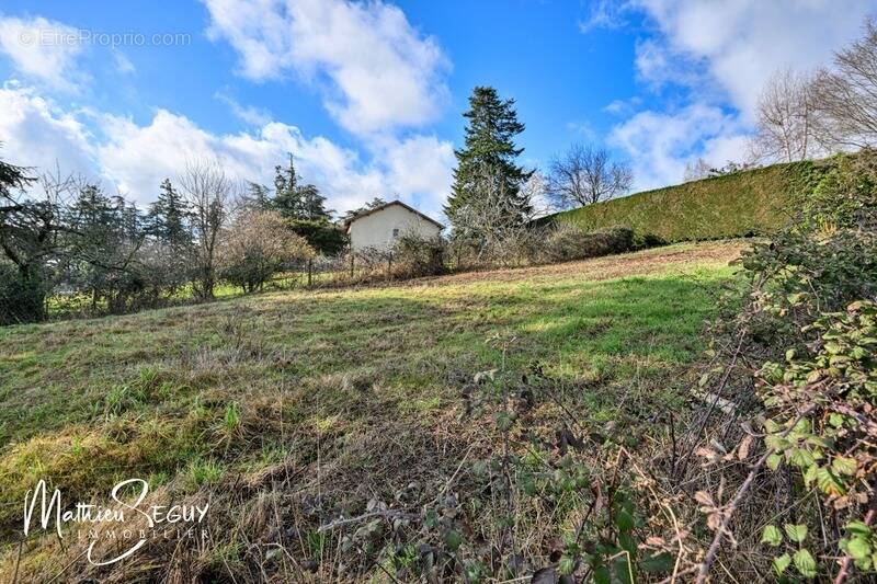 Terrain à POLLIONNAY