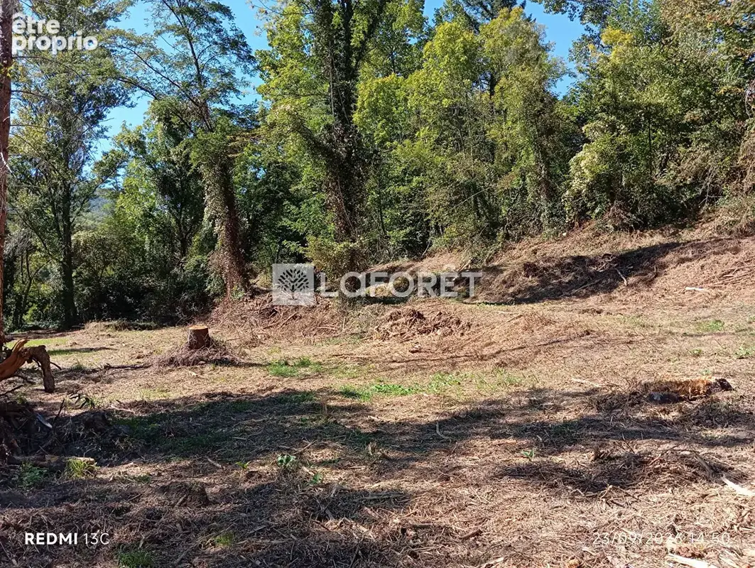 Ancien camping / 2,15 ha - prats de mollo - photo 14