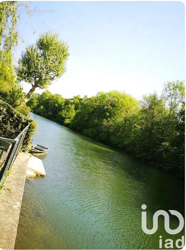 Photo 9 - Maison à MONTIGNY-SUR-LOING