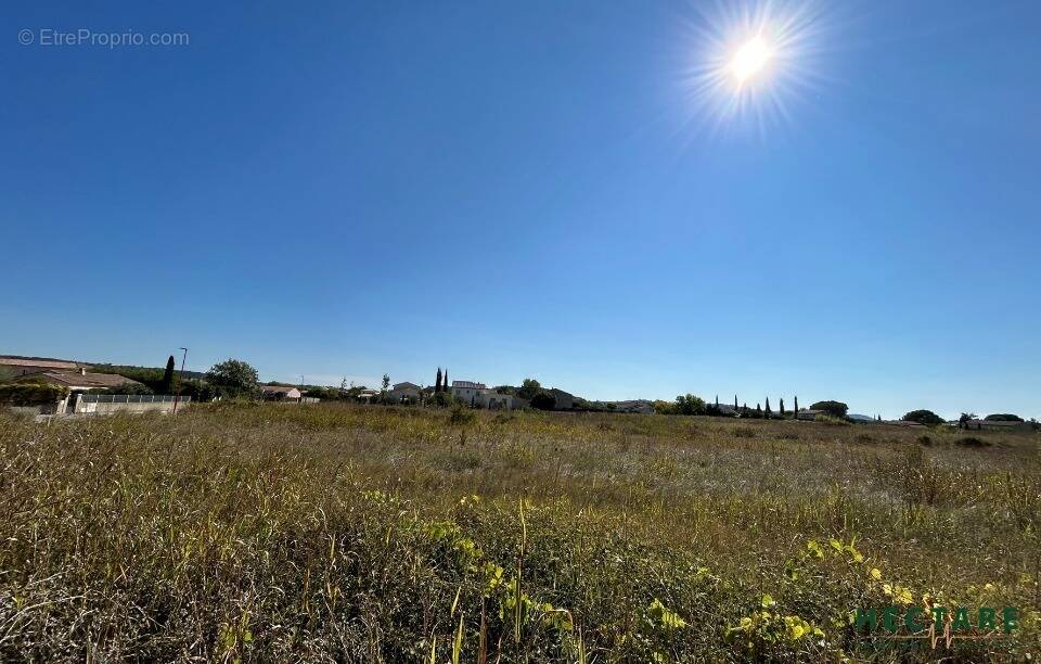 Terrain à RIBAUTE-LES-TAVERNES