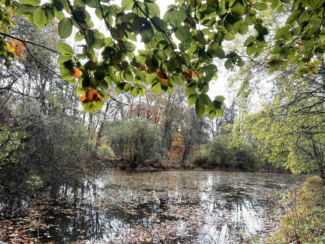 Terrain à CONFOLENS