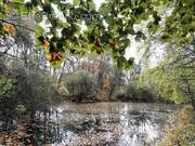 Terrain à CONFOLENS