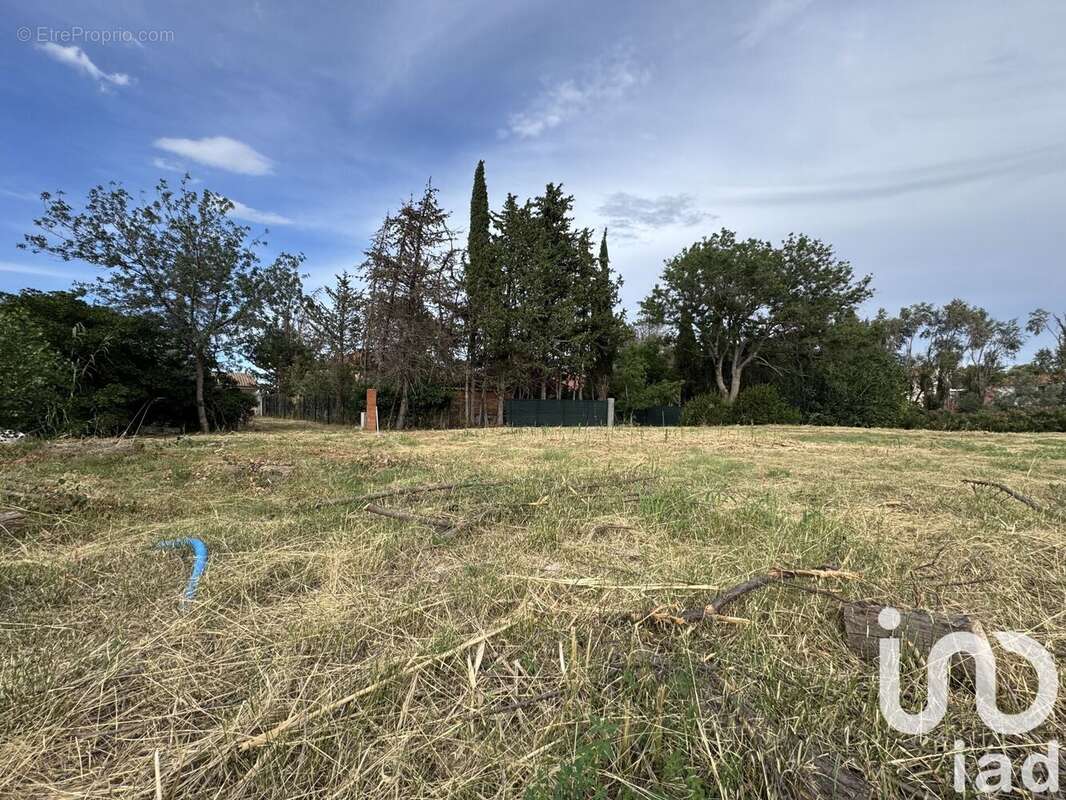 Photo 2 - Terrain à RIVESALTES