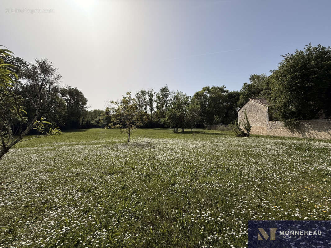 Ensemble immobilier au bord de la charente - photo 14