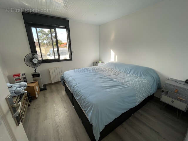 Nouveaute petit-caux - photo 11