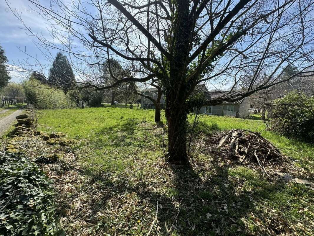 Terrain à ROUSSAC