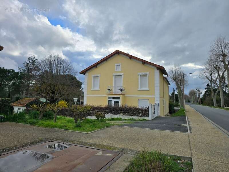 Domaine viticole 180 m² + dépendances + hangar – 6 754 m² – 15 min Carcassonne / Limoux - photo 2