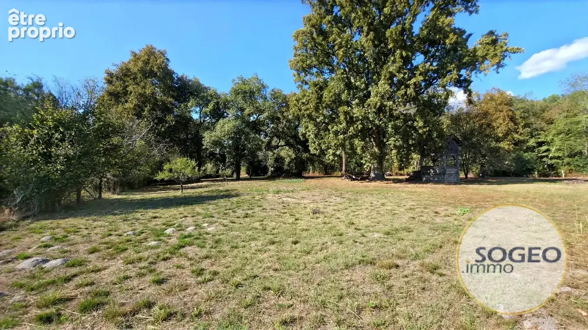 Maison landaise à colombages – Grand airial de plus de 8 000 m² et nombreuses dépendances - photo 3