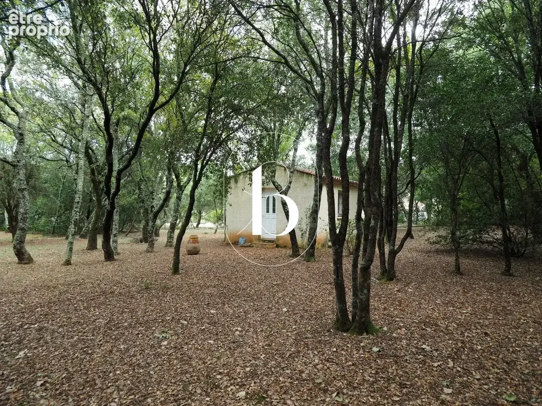 Méjannes-le-Clap  Propriété sur 9 000 m² de terrain arboré avec piscine - photo 28