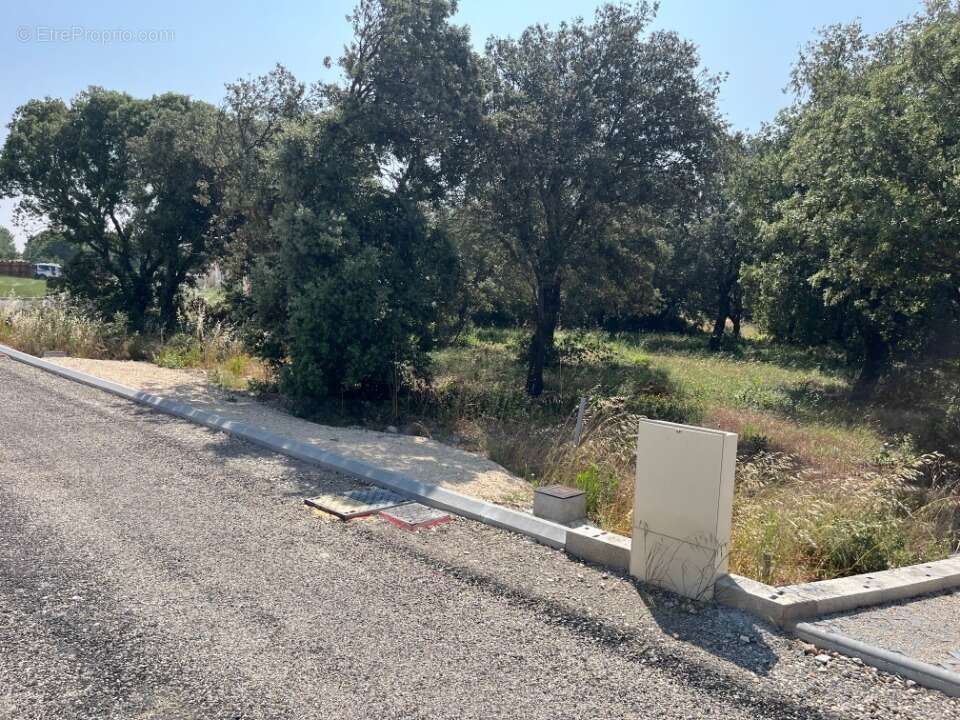 Terrain à LA BAUME-DE-TRANSIT