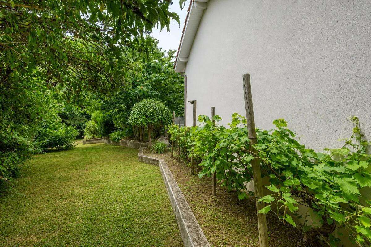 Maison de 8 pièces de 210 m² à Saint-Cyr-sur-le-Rhône - photo 24