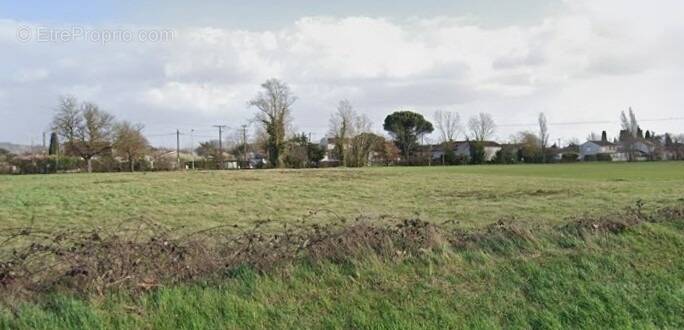 Terrain à PINS-JUSTARET
