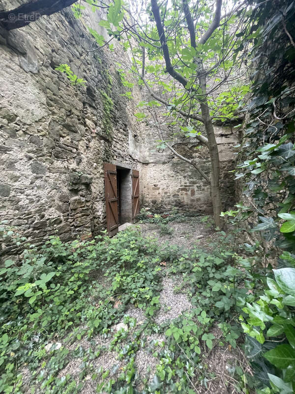 Maison de village en pierre avec terrasse et jardin - photo 4