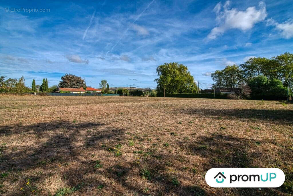 Terrain à CINTEGABELLE