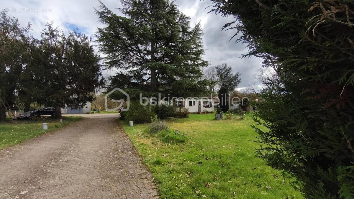 Propriété - photo 1