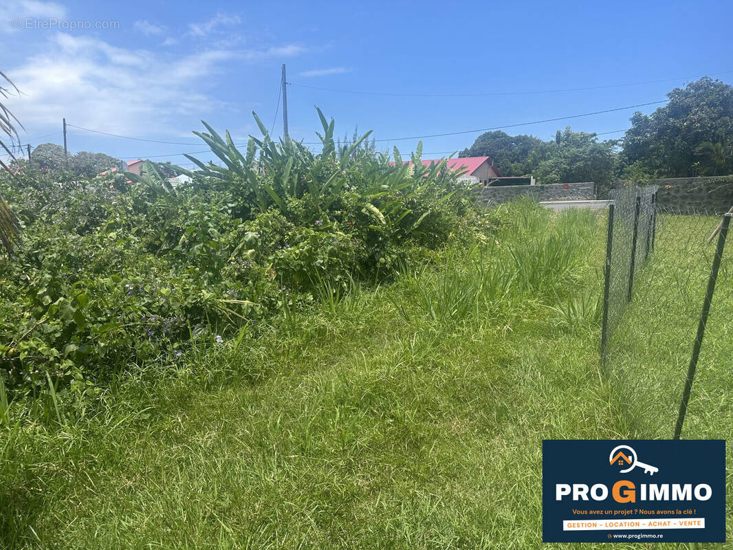 Terrain à SAINTE-ROSE