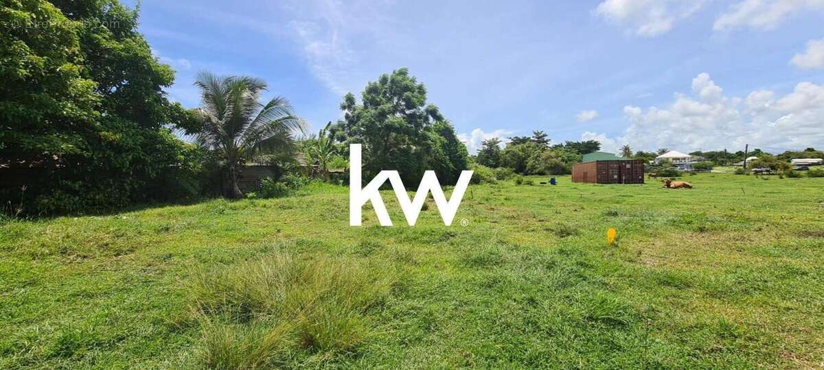 Terrain à SAINT-FRANCOIS