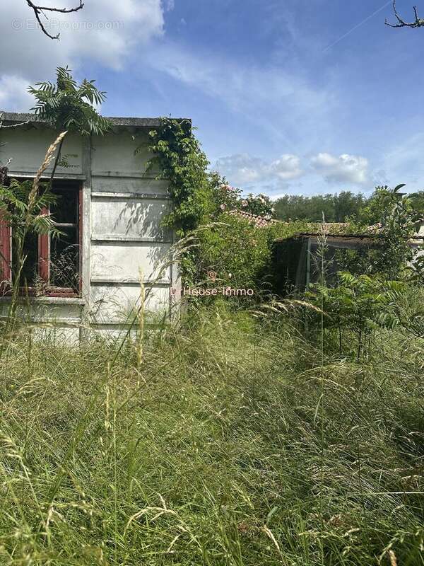Maison à CASTELNAU-DE-MEDOC