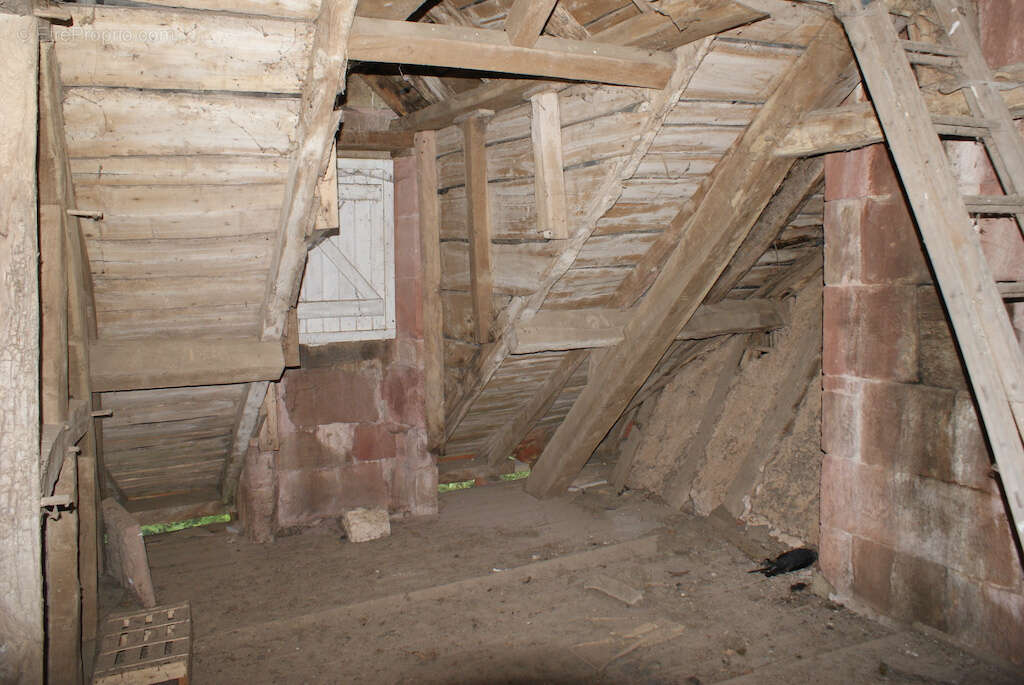 Maison à COLLONGES-LA-ROUGE