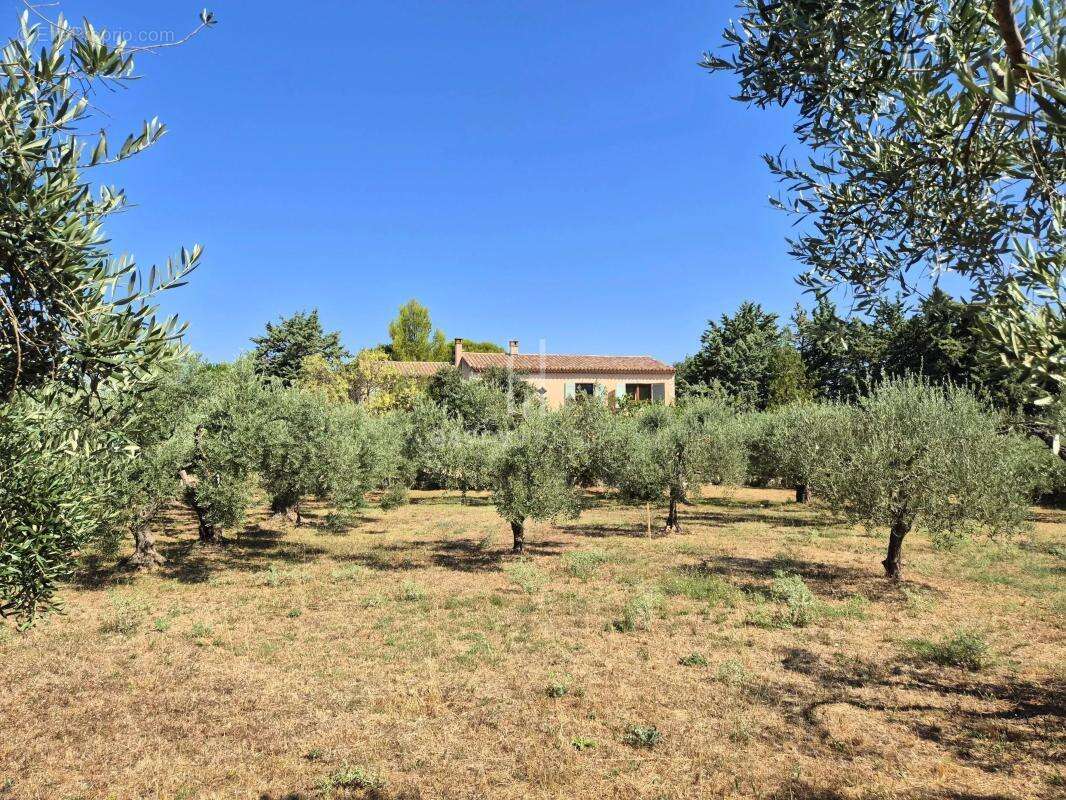 Maison St Rémy vue Alpilles - photo 4